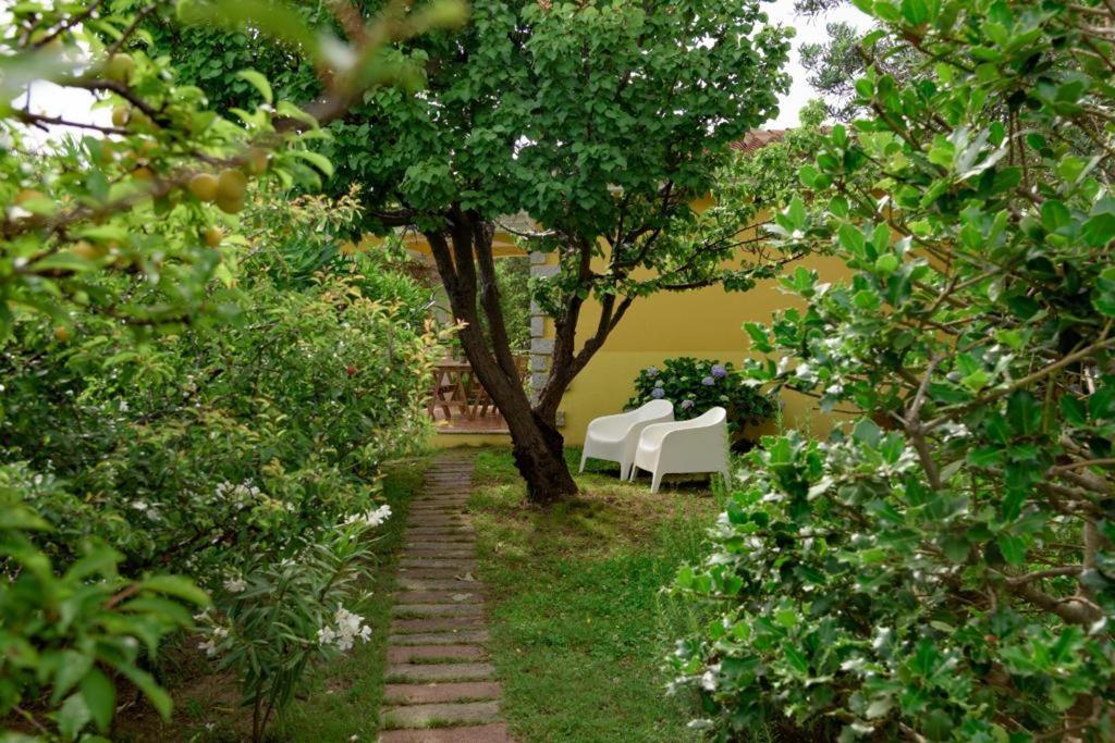 Residence Agrifoglio Монте Петросу Екстериор снимка